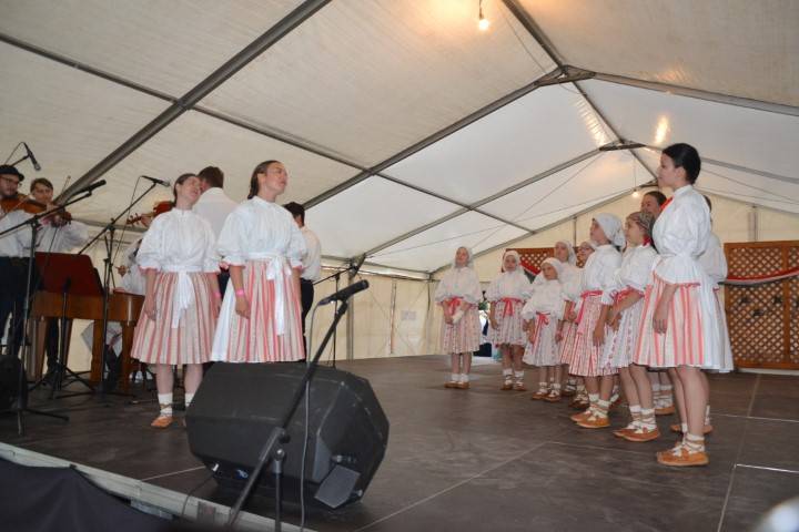 DSC_8254-Kicsi
