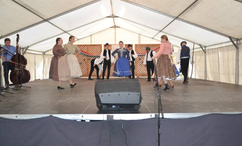 DSC_8280-Kicsi