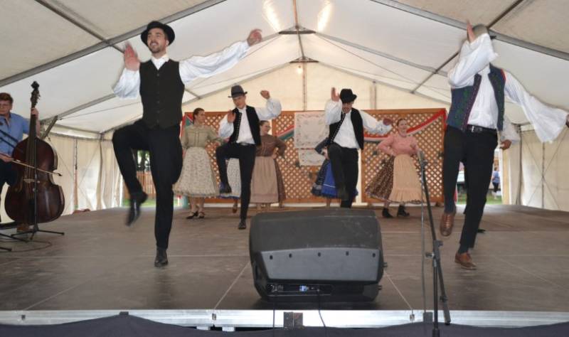 DSC_8282-Kicsi