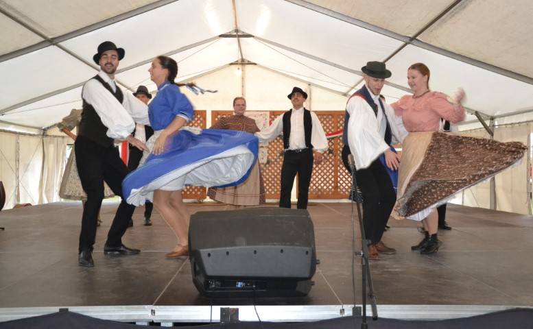 DSC_8284-Kicsi
