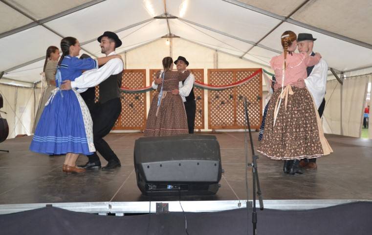 DSC_8285-Kicsi