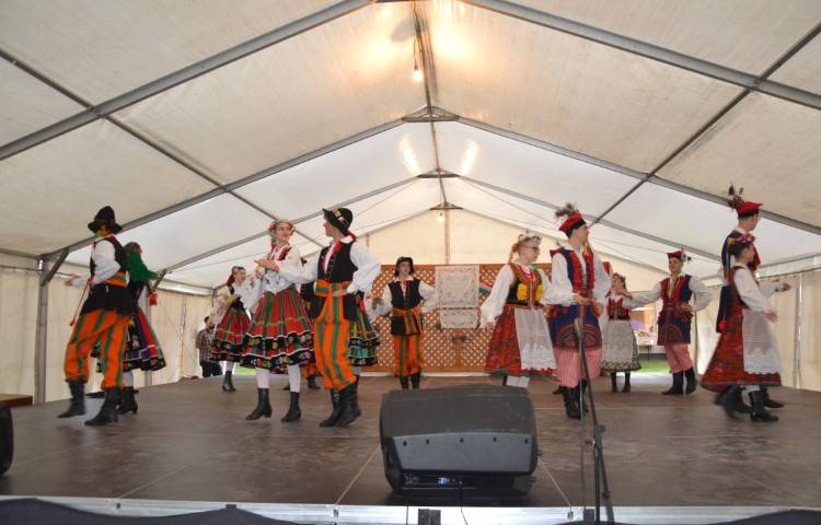DSC_8290-Kicsi