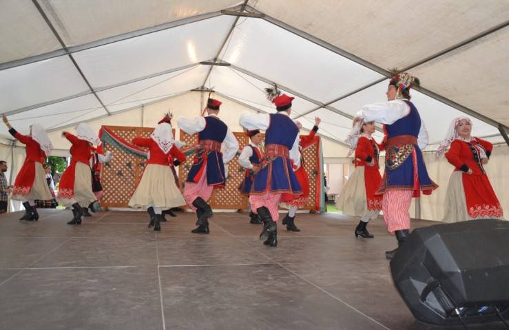 DSC_8320-Kicsi