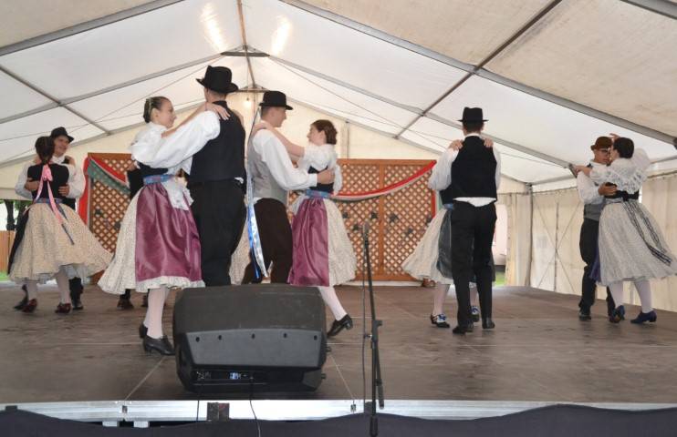 DSC_8340-Kicsi