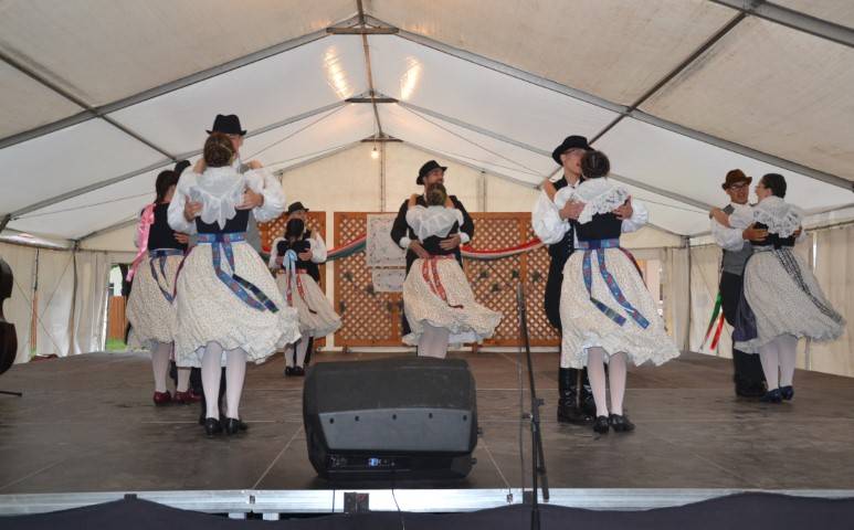 DSC_8341-Kicsi