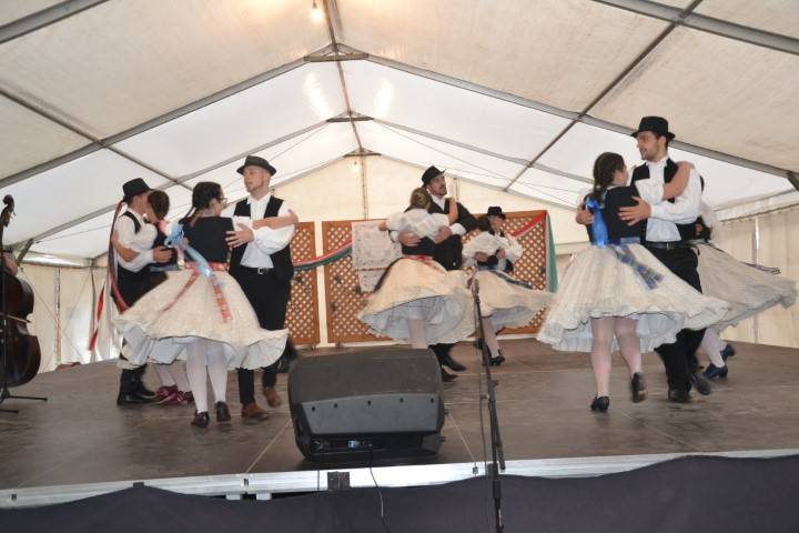 DSC_8343-Kicsi