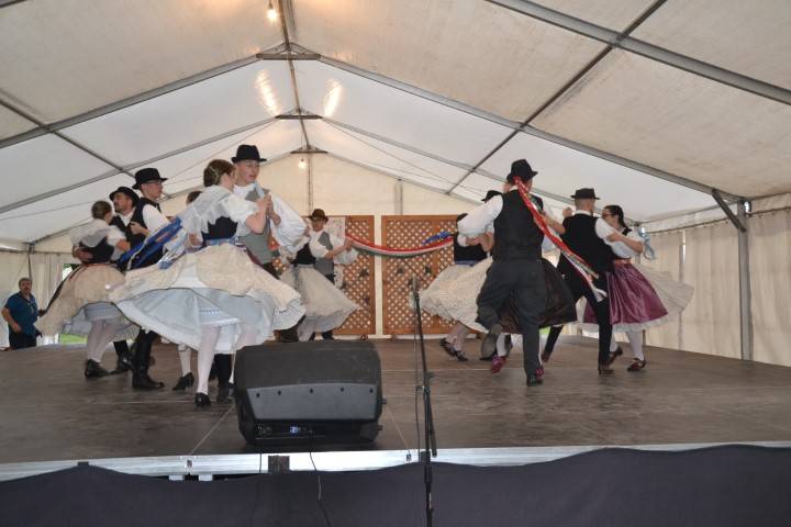 DSC_8346-Kicsi