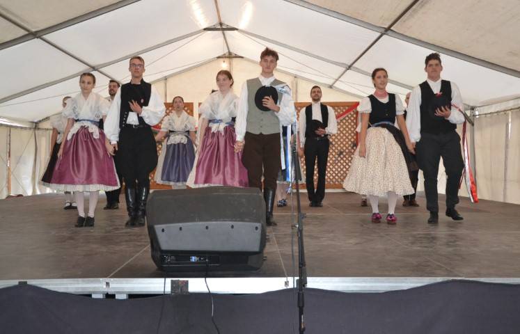 DSC_8348-Kicsi