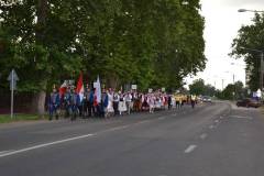 DSC_8063-Kicsi