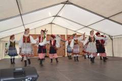 DSC_8180-Kicsi