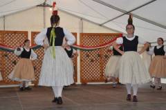 DSC_8239-Kicsi