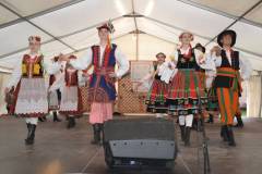 DSC_8294-Kicsi