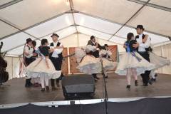 DSC_8343-Kicsi