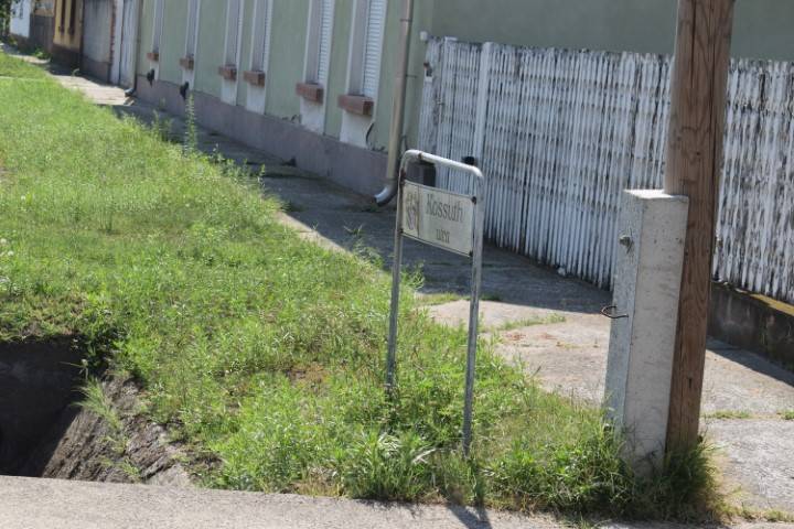 DSC_1010-Kicsi