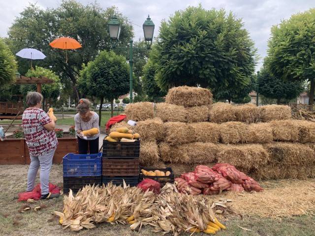 4-Kicsi