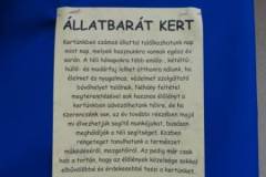 15-Kicsi
