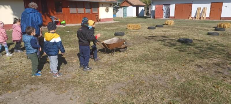 20231018_112642-Kicsi