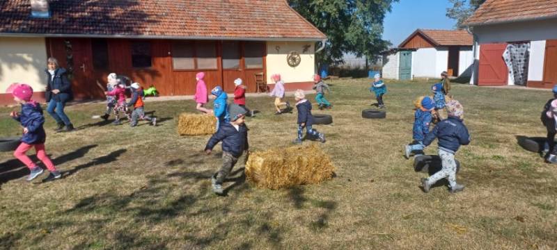 20231018_113529-Kicsi