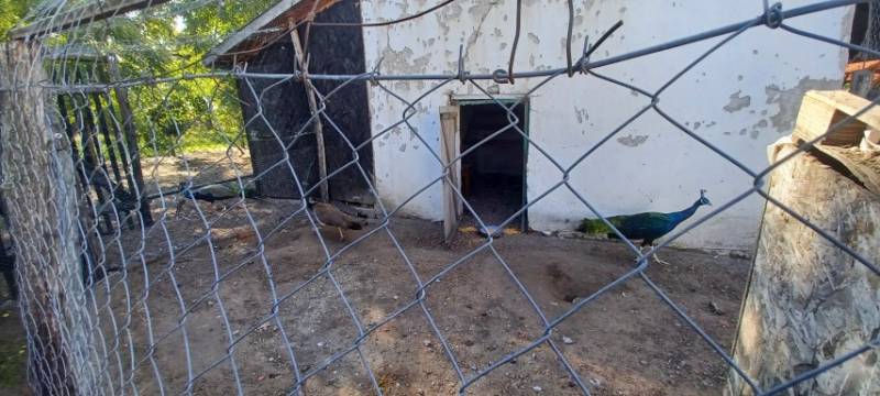 20231019_102901-Kicsi