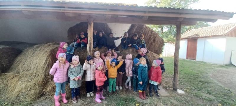20231019_103101-Kicsi