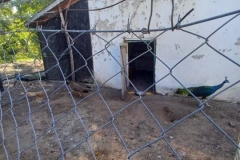 20231019_102901-Kicsi
