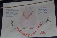 DSC09263-Kicsi