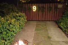 9