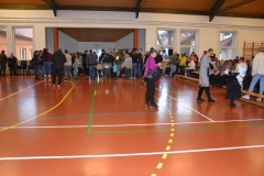 DSC_2091-Kicsi