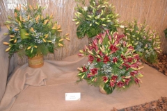 DSC_1029_1280x853