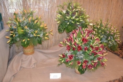 DSC_1030_1280x853