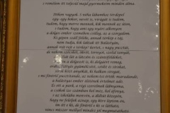 DSC_1045_640x960