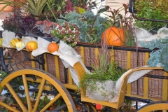 DSC_1082_1280x853