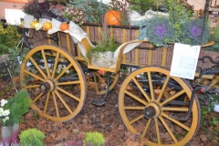 DSC_1083_1280x853