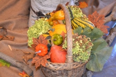 DSC_1115_1280x853