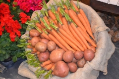 DSC_1139_1280x853