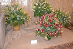 DSC_1329_1280x853
