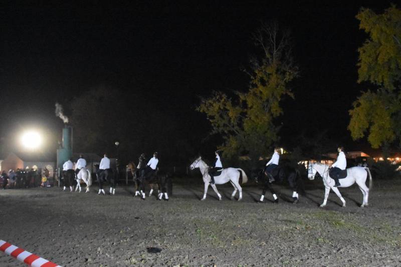 DSC_5599_1280x853