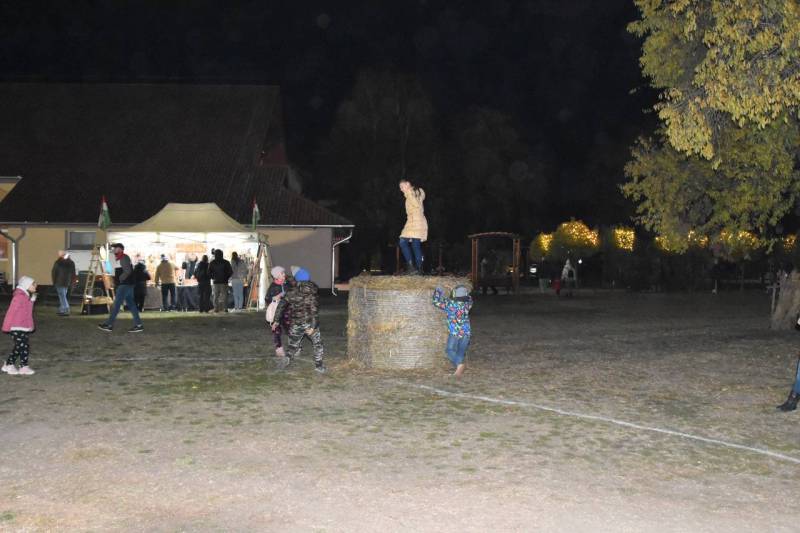DSC_5656_1280x853