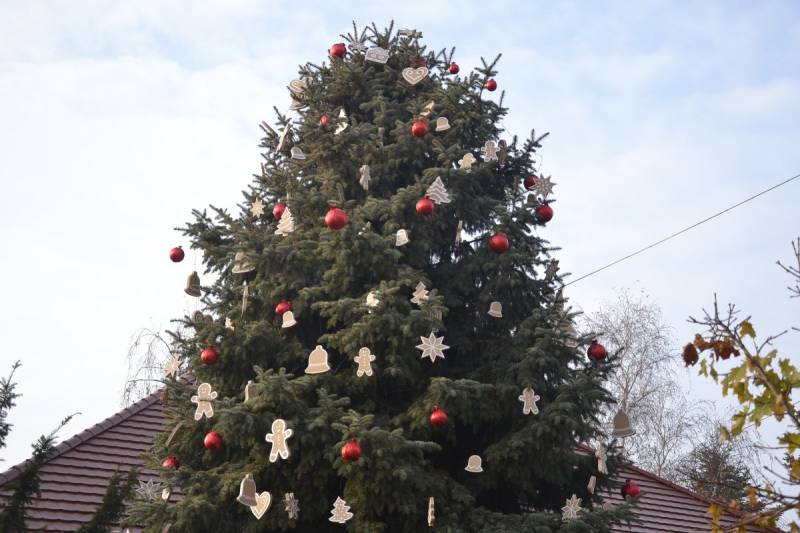 DSC_4662_1200x800
