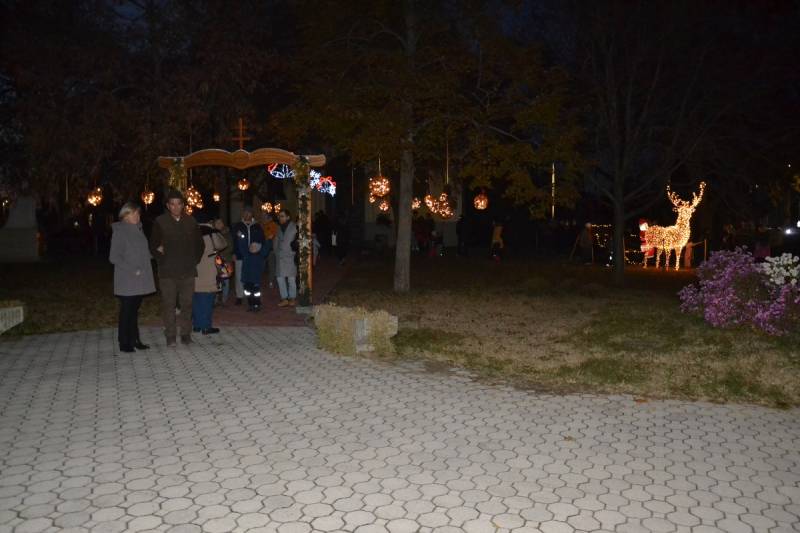 DSC_4890_1200x800