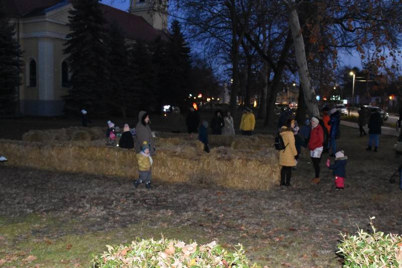 DSC_6262_1200x800