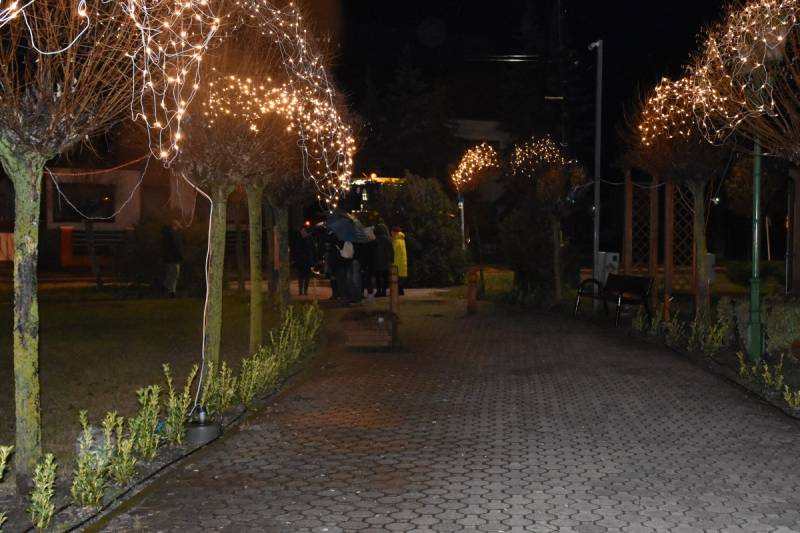 DSC_6594_1200x800