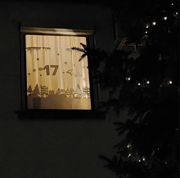 23