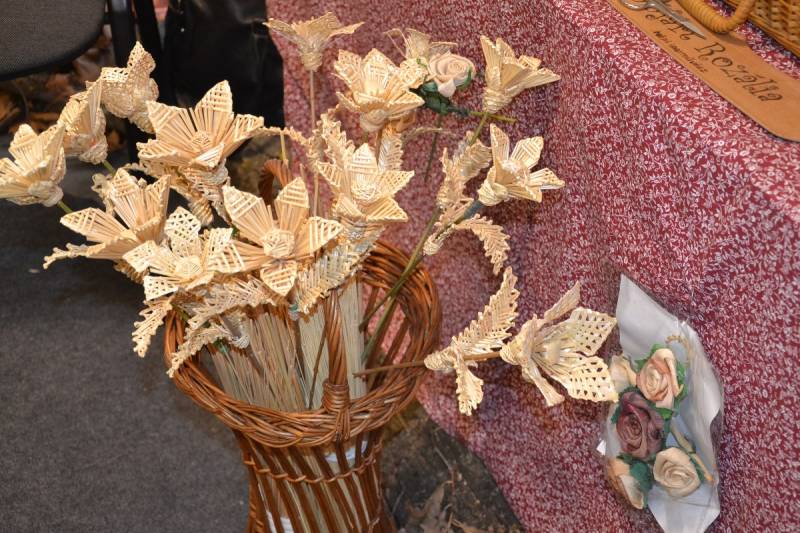 DSC_2118_1200x800
