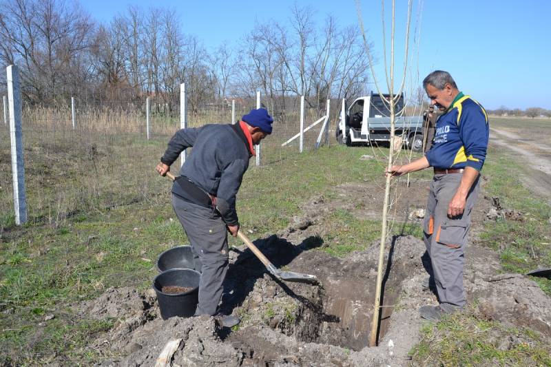 DSC_7592_1200x800