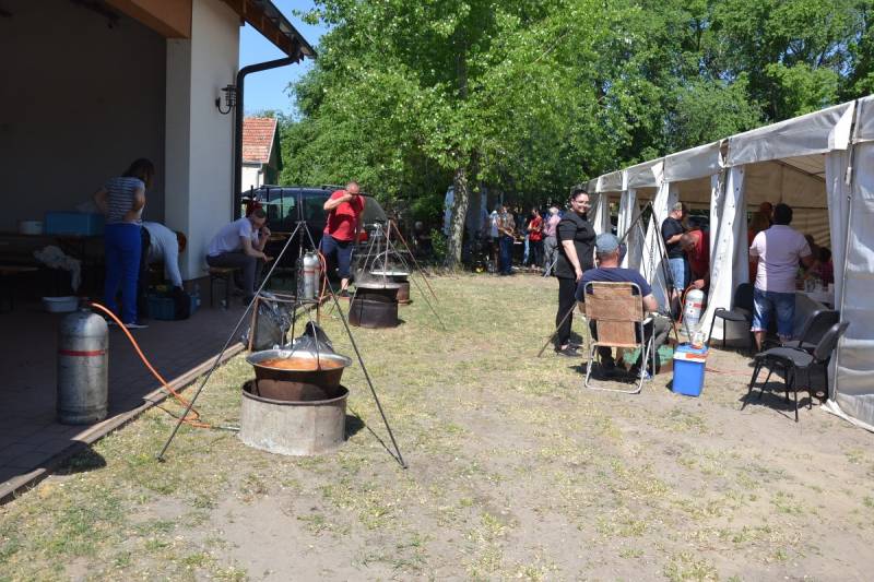 DSC_8737_1200x800