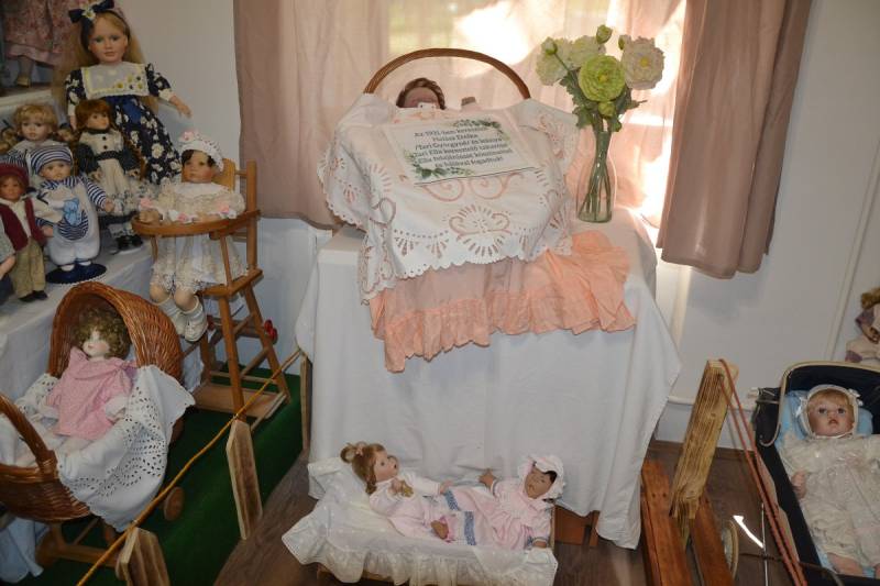 DSC_0884_1200x800