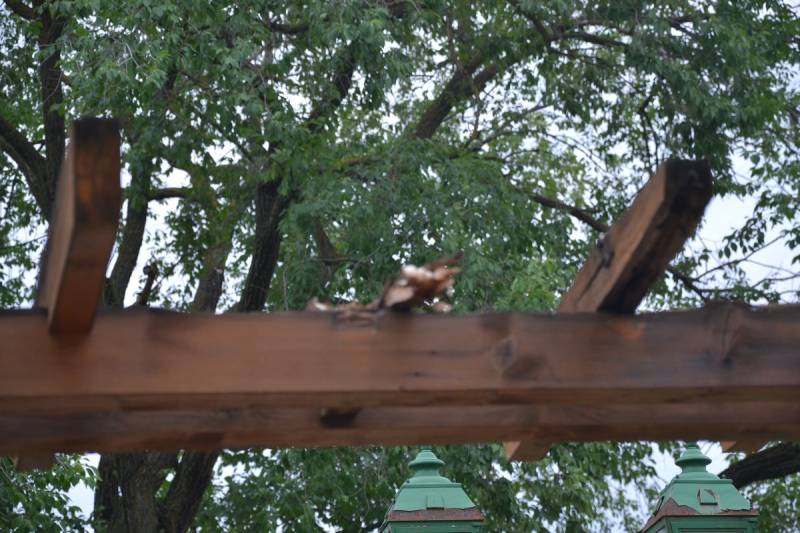 DSC_1414_1200x800