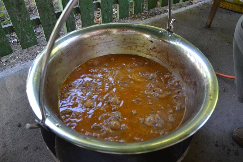DSC_2420_1200x800