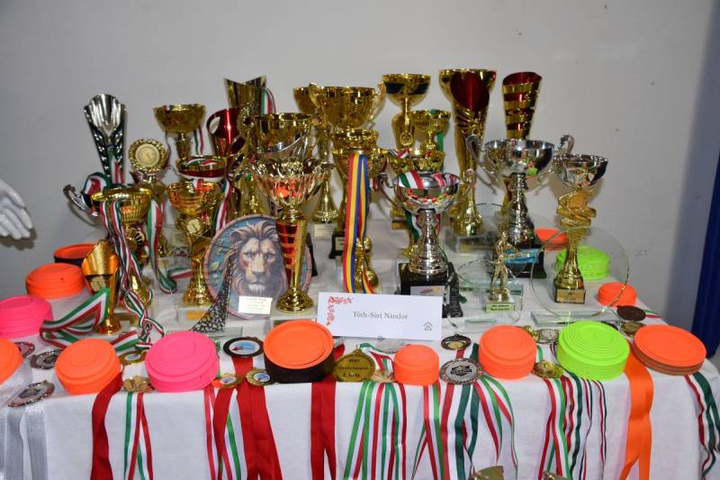 DSC_2088_1200x800